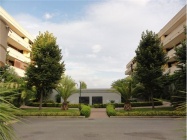 Attico a Roma a 1200€ al mese