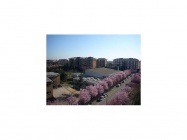 Appartamento a Piacenza a 600€ al mese