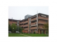 Appartamento a Bologna a 550€ al mese