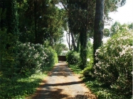 Appartamento a Roma a 700€ al mese