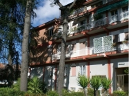 Attico a Roma a 1200€ al mese