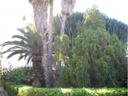 Appartamento a Siracusa a 400€ al mese