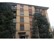 Appartamento a Bareggio a 350€ al mese