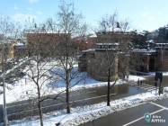 Appartamento a Bologna a 570€ al mese