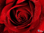 Monolocale a Bitritto a 100€ al mese