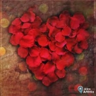 Monolocale a Bitritto a 350€ al mese