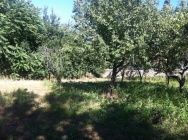 Terreno uso residenziale a Pozzuoli a 500€ al mese