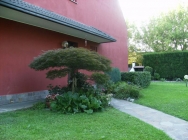 Villa a Arese a 0€ al mese