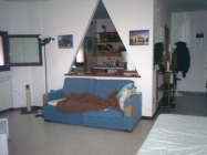 Appartamento a Treviso a 550€ al mese