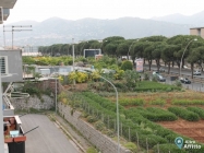 Appartamento a Palermo a 650€ al mese