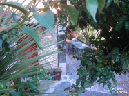 Appartamento a Pieve Ligure a 100€ al mese