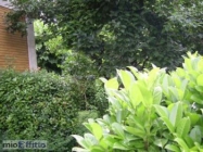 Appartamento a Brescia a 420€ al mese