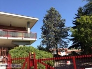 Appartamento a Moncalieri a 1200€ al mese