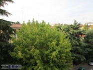 Appartamento a Modena a 700€ al mese