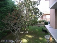 Appartamento a Ancona a 900€ al mese