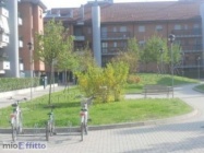 Appartamento a Vimodrone a 1050€ al mese