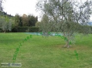 Appartamento a Firenze a 1200€ al mese