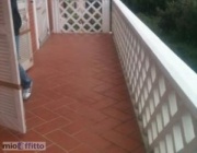 Appartamento a Massa a 800€ al mese