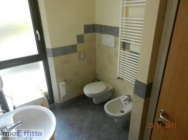 Appartamento a Siena a 900€ al mese