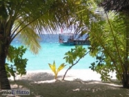 Appartamento a Prato a 700€ al mese