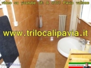 Appartamento a Pavia a 450€ al mese