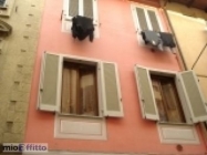 Appartamento a Biella a 350€ al mese