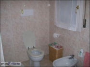 Appartamento a Castelfranco Veneto a 450€ al mese