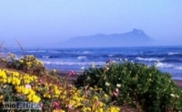 Appartamento a San Felice Circeo a 1500€ al mese