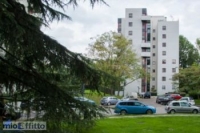 Appartamento a Segrate a 1000€ al mese