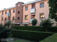 Appartamento a San Pietro in Casale a 600€ al mese