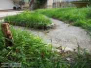 Appartamento a San Giuliano Terme a 750€ al mese