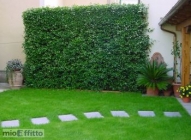 Appartamento a Bassano del Grappa a 880€ al mese