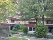 Appartamento a Piacenza a 650€ al mese