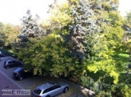 Appartamento a Casalecchio di Reno a 570€ al mese
