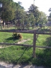 Appartamento a Sesto Fiorentino a 700€ al mese
