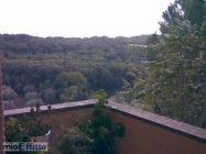 Appartamento a Capalbio a 500€ al mese