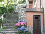 Appartamento a Camogli a 850€ al mese