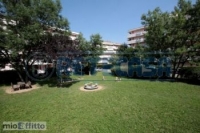 Appartamento a Treviso a 550€ al mese