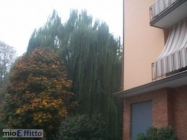 Appartamento a Sasso Marconi a 470€ al mese