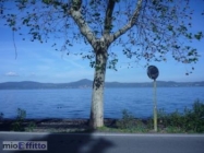 Appartamento a Anguillara Sabazia a 570€ al mese