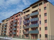 Appartamento a Calderara di Reno a 535€ al mese