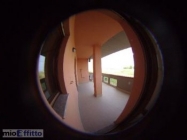 Appartamento a Grosseto a 700€ al mese