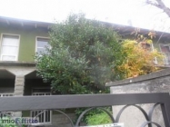 Appartamento a Dozza a 600€ al mese