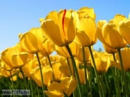 Appartamento a Carmignano a 750€ al mese