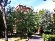 Appartamento a Imola a 530€ al mese