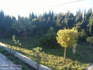 Appartamento a San Benedetto del Tronto a 550€ al mese