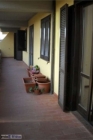 Appartamento a Monsummano Terme a 650€ al mese