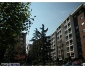 Appartamento a Beinasco a 550€ al mese