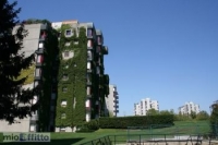 Appartamento a Segrate a 650€ al mese