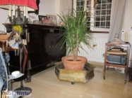 Appartamento a Roma a 1300€ al mese